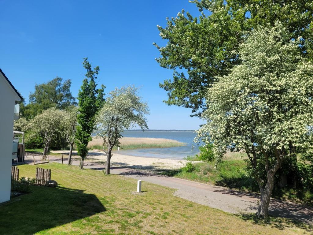 Baltic Lagoon Resort Direkt Am Meer Fuhlendorf  Ngoại thất bức ảnh